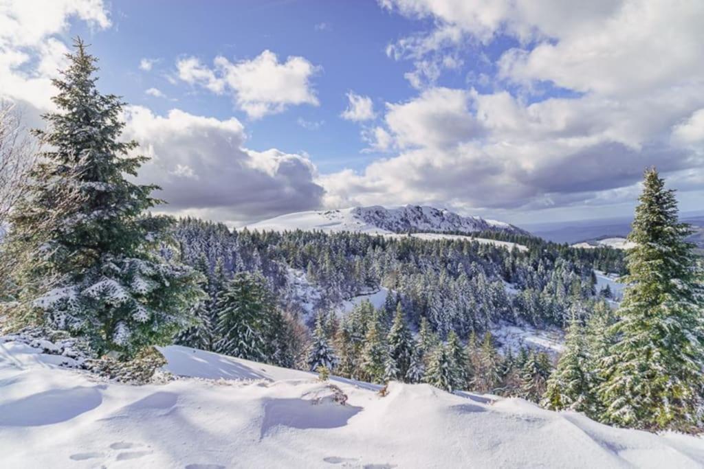 Appt Lumineux, Thermes Et Montagne Ла Бурбул Екстериор снимка