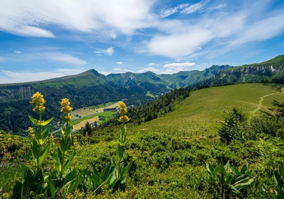 Appt Lumineux, Thermes Et Montagne Ла Бурбул Екстериор снимка